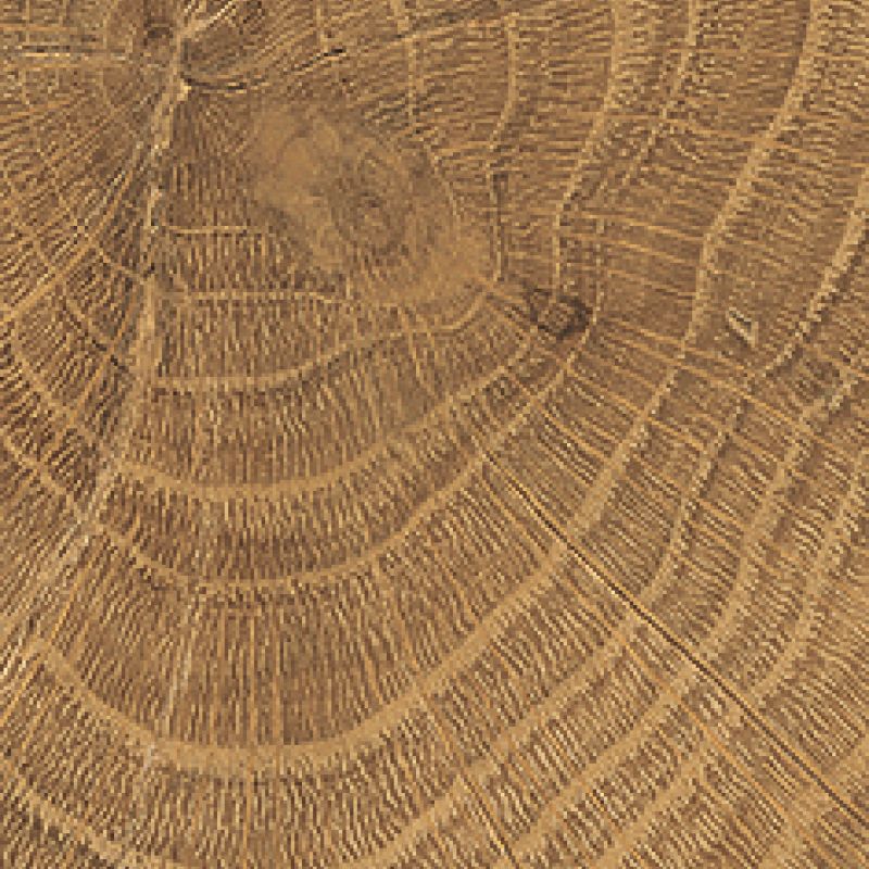 W-Circles Walnut 53x300mm