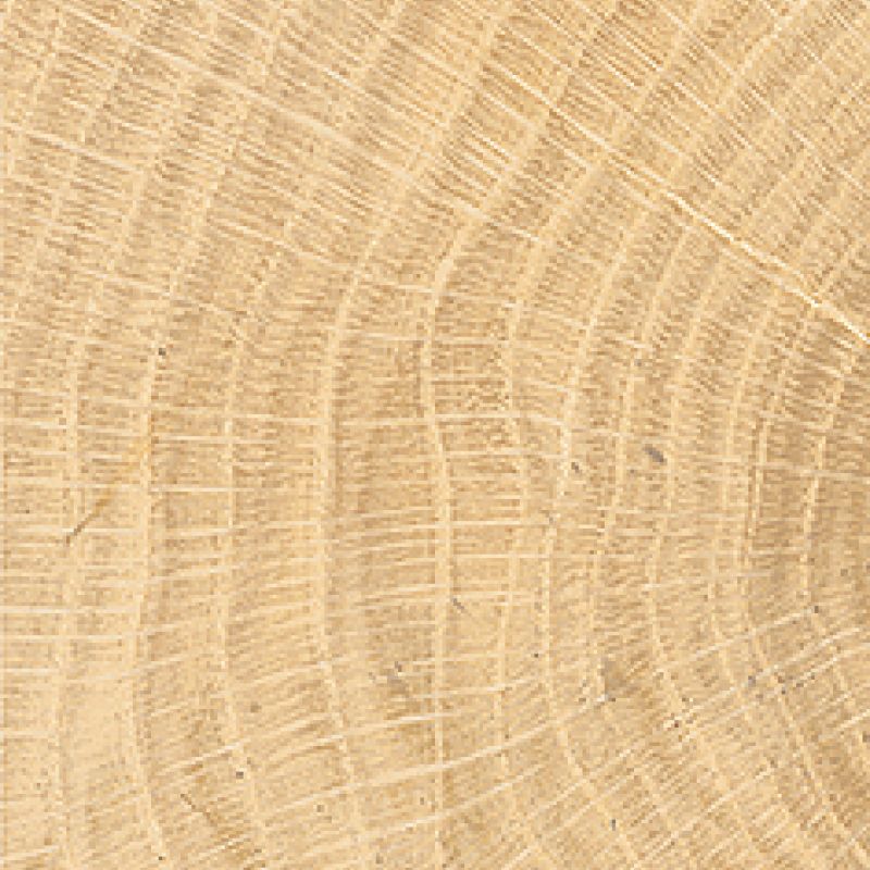 W-Circles Oak 53x300mm