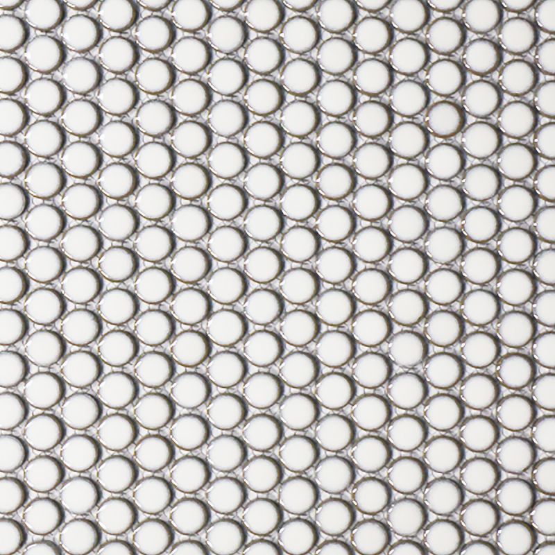Penny Mosaic Old White